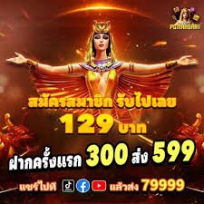566 com